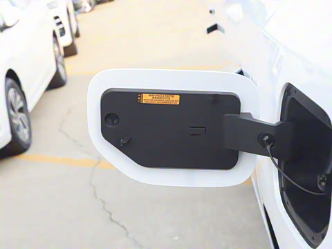 2026�� �������̼�����