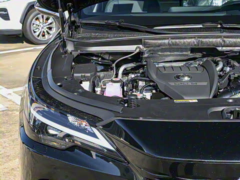 2026�� 300 ����������