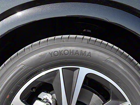 2026�� 300 ����������