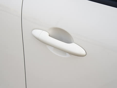 2026�� ����� 301km ���׿�