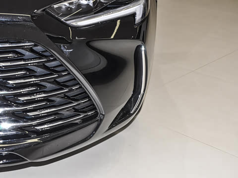 2025�� 25T ������