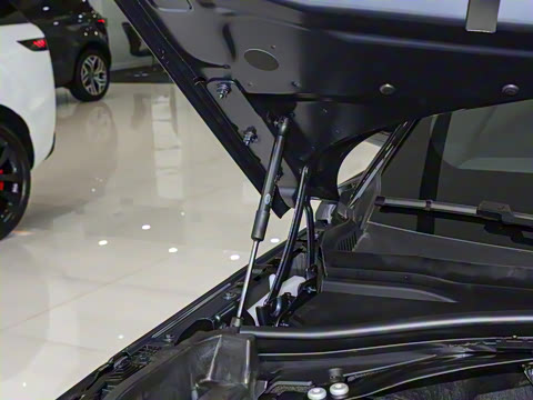 2026�� 250PS Dynamic SE