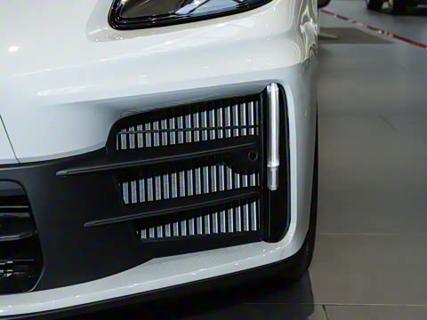 2026�� Panamera 2.9T