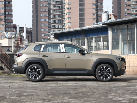 2026�� 2.5L ���а�