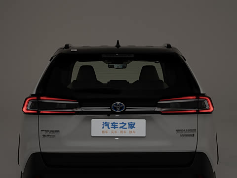 2024�� ˫�� 2.5L E-CVT��������