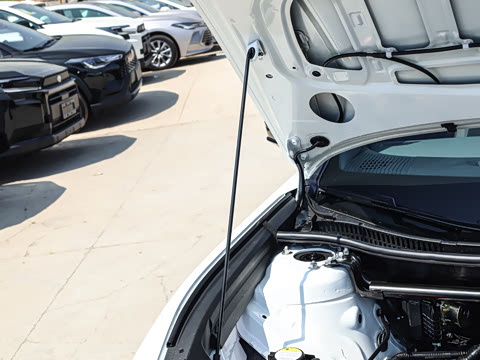 2026�� ������ JOY