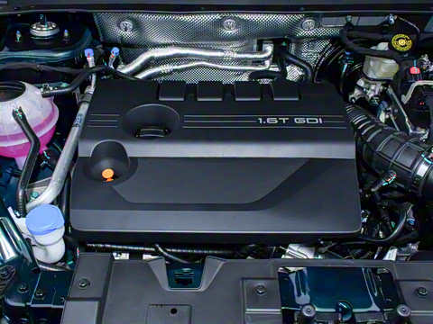 2025�� 290TGDI DCT���ư�