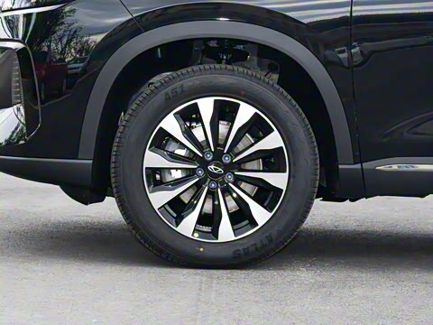 2025�� 290TGDI DCT���ư�