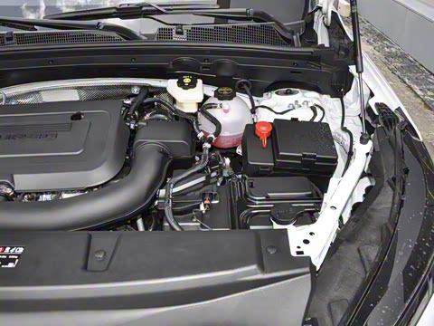 2026�� ������Plus ����Avenir��ά��