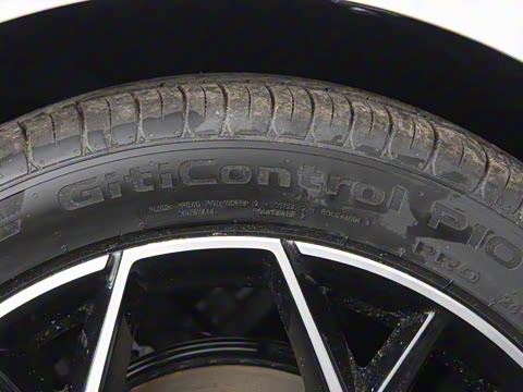 2026�� �����������̰� 310�콢��