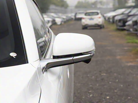 2026�� �����������̰� 310�콢��