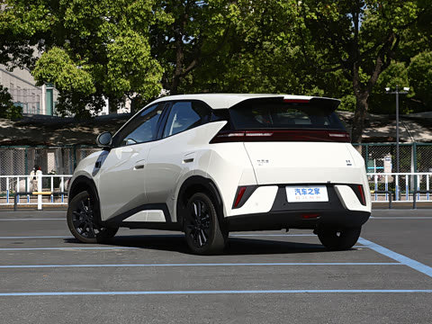 2026�� 305km ���ɰ�