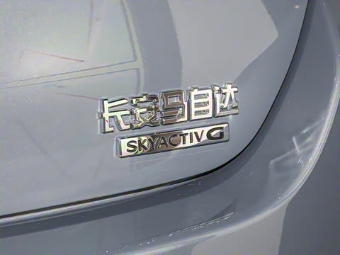 2025�� 2.0L �Զ����Ű�