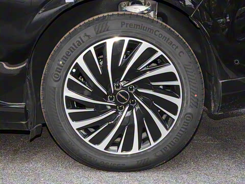 2025�� ���� 240 Max��������������ʻ