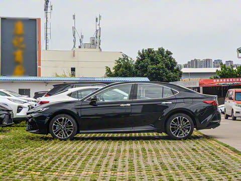 2026�� ˫�� 2.5HG ����