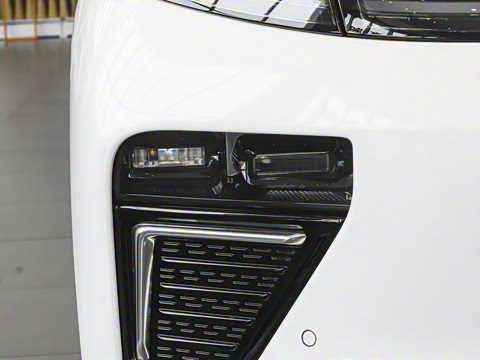 2025�� ���� 265 Max��������������ʻ