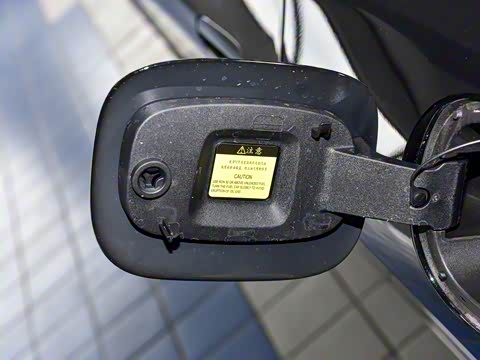 2026�� �����������̰� 310������