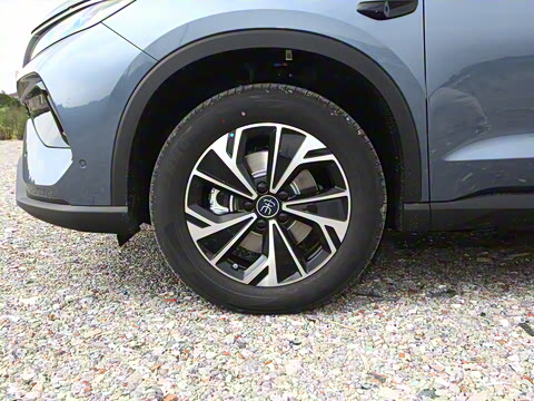 2026�� DM-i 133KM��Խ��