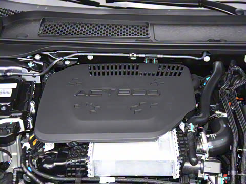 2025�� 260������������