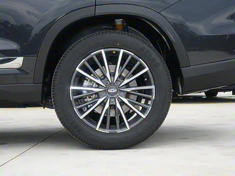 2025�� 290TGDI DCT����� 7��