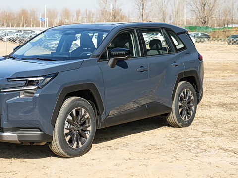 2026�� ˫�� 2.0L ����������