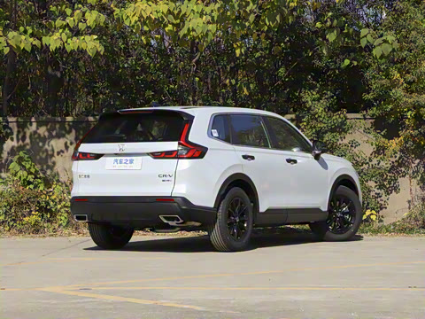 2026�� ȫ��30����ҫ�� 2.0L e:HEV �������а�