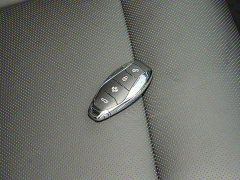 2025�� 2.0T PHEV ����200��������� 7��