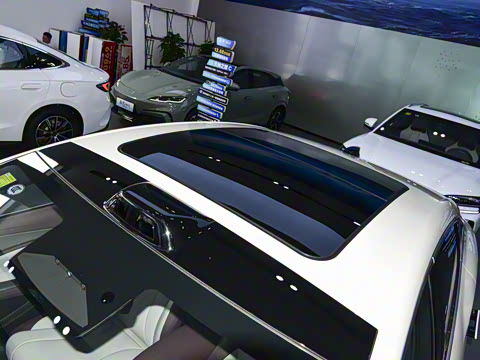 2026�� DM-i 1.5T 230km �콢��