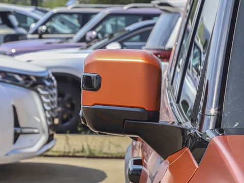 2025�� ̽Ұ�� 5��