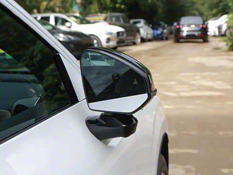 2026�� ������������Plus