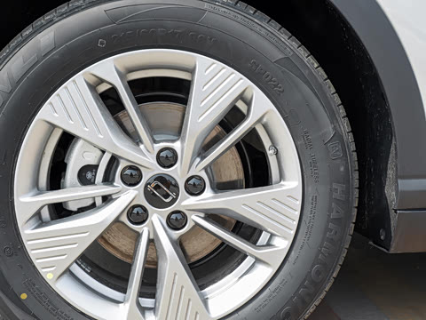 2026�� 565km ������