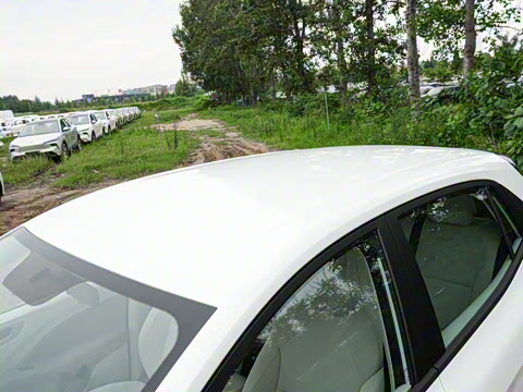 2026�� 437 ���İ�