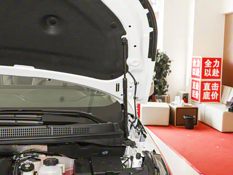 2025�� ½�Ϲ���� ����DG��