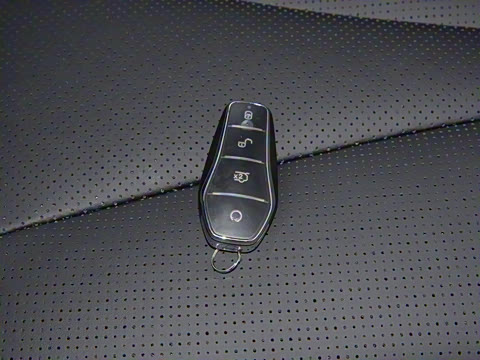 2025�� DM-i 121�캽��