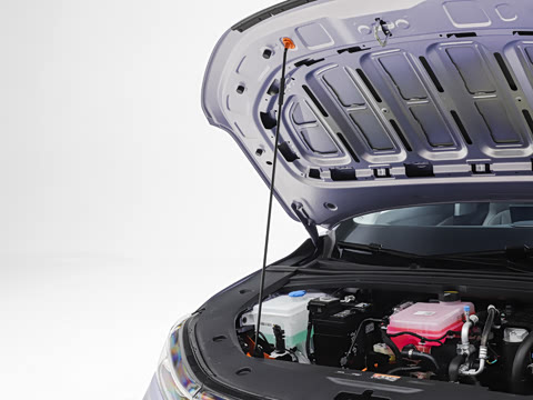 2026�� �����