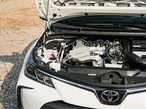 2025�� 1.2T �ȷ��