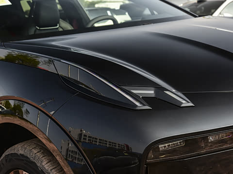 2026�� Max������