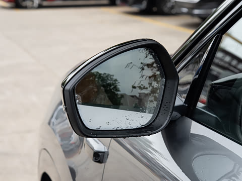 2026�� Max ������