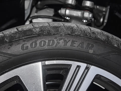 2026�� ����������