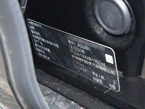 2025�� 2.0T P250 ��������������