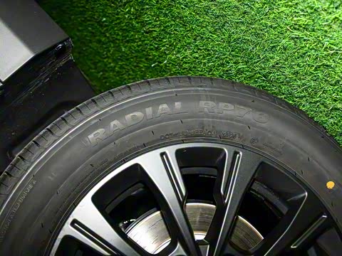 2025�� 520���г��а�