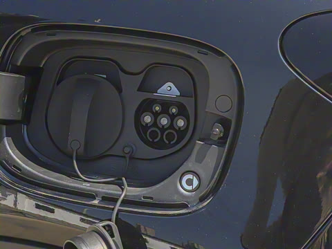 2026�� �鶯��������