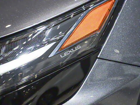 2025�� 300 ����������