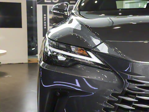 2025�� 300 ����������