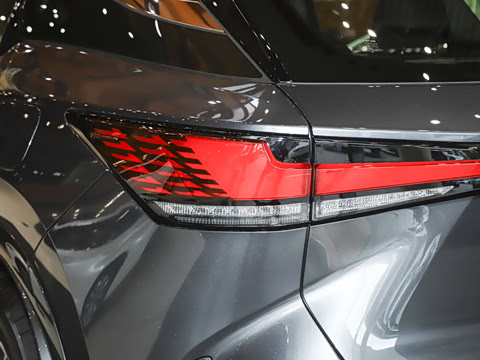 2025�� 300 ����������