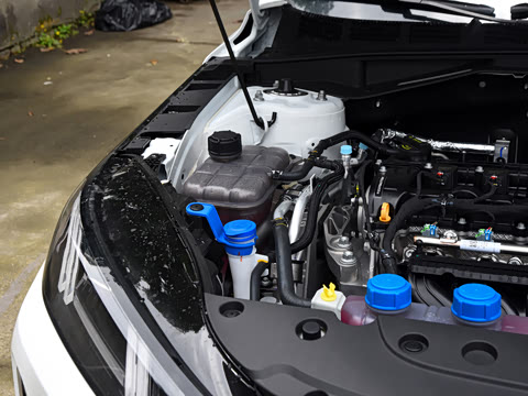 2026�� 1.5L �������� ������