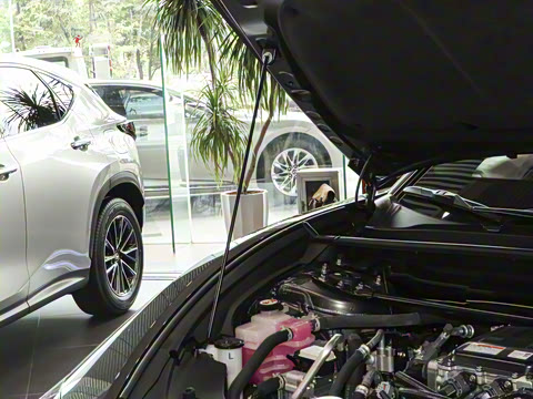 2023�� 450e ����������