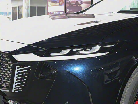 2026�� ����200 Pro�˶���