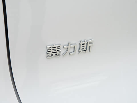 2025�� ���� Max+ ���������� 