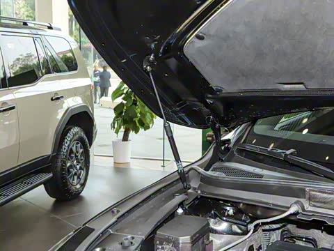 2026�� 350h ����������